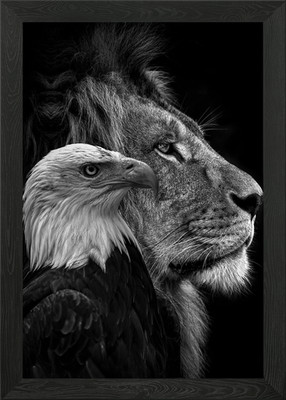 Schwarzer Löwe und Adler Gesichter Gerahmtes Wandbild Poster Leinwanddruck Bild