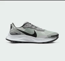 Size 7 Nike Pegasus Trail 3 Dusty Sage Black Smoke Grey