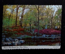Tulsa Oklahoma Azalea Garden Woodward Park Vintage Deckle Edge Postcard 4x6