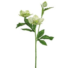 Allstate 22" Helleborus Molly's Artificial Silk Floral Spray
