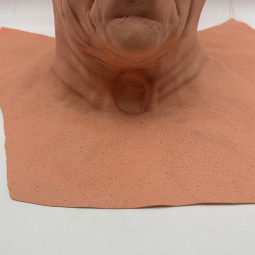 Alter Mann/Geezer mit weißen Haaren & Schnurrbart Latex Vollhals Halloween Maske Erwachsene - Bild 8 von 14