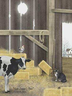 Barn cat on a dairy farm