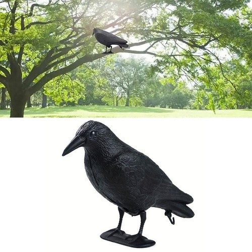 Plastic Simulation Crows Garden Deco Statue Hunting Decor Bait Protect X2B7 K9O8 - Picture 5 of 12