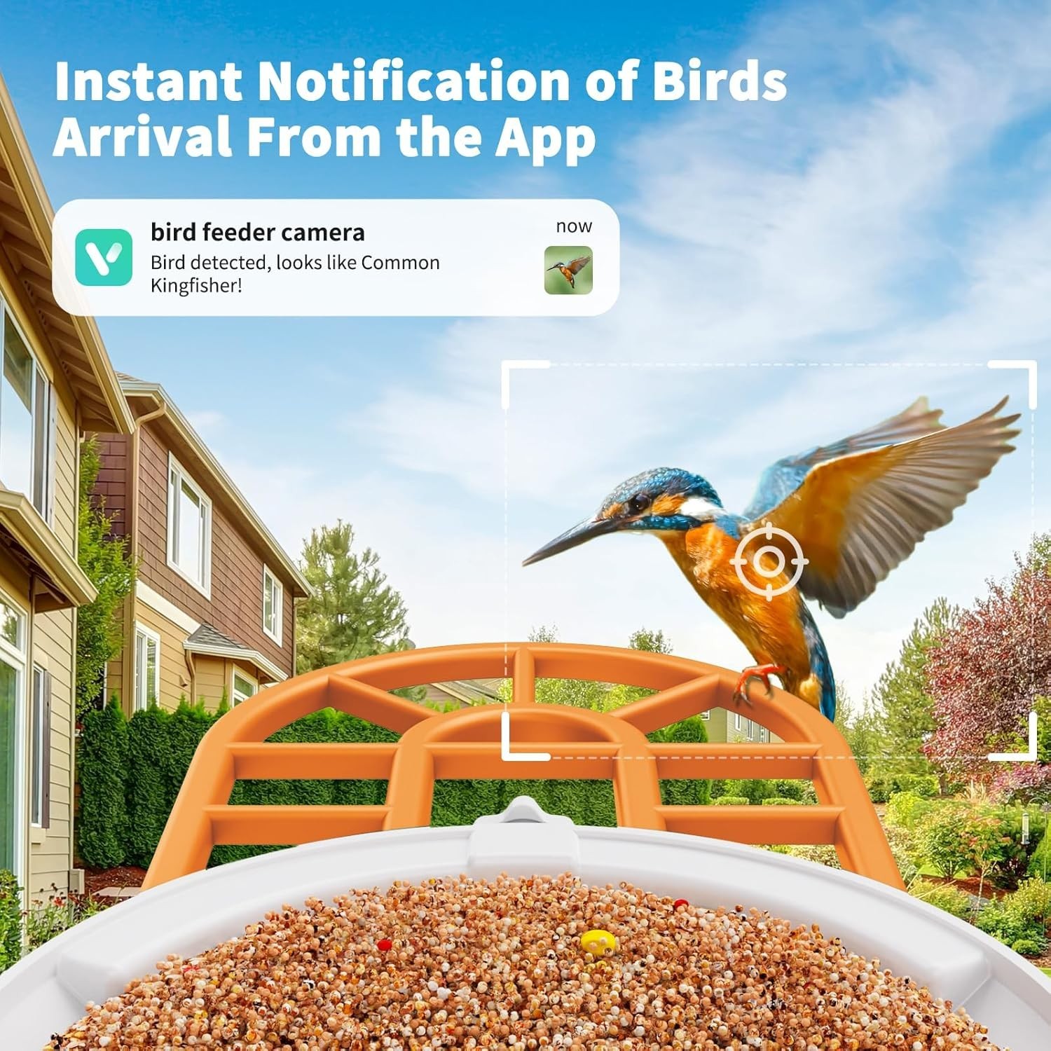 Smart Bird Feeder with Camera: AI Identification & Night Vision for Bird Lovers