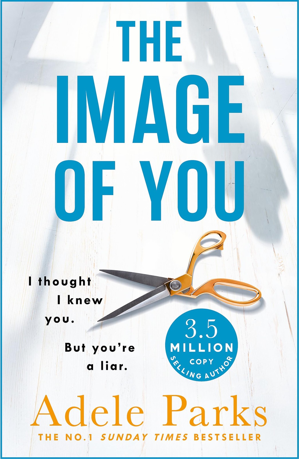 Adele Parks The Image of You Book NEW Paperback Novel 9781472205575 - Image 4