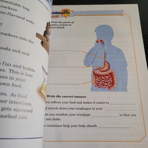 Abeka Academy Textbook Science 3rd Grade 3 Exploring God's World - Picture 13 of 19