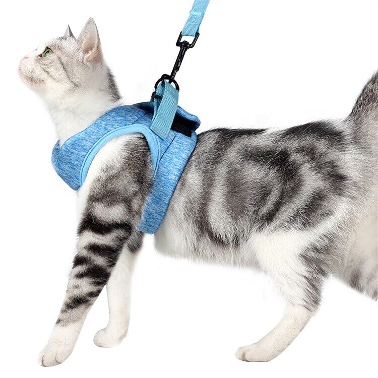 Cationic Cat Harness and Leash Walking for Philadelphia Mall Popular shop is the lowest price challenge Set wrap 360°
