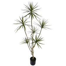 Artificial Dracaena marginata,6ft Tall Fake Plants Artificial Dracaena margin...
