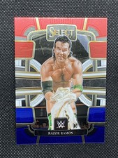 2024 Panini Select WWE Razor Ramon Red and Blue #83