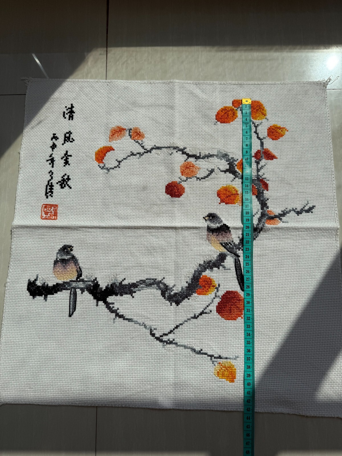 Picture 4 of 12