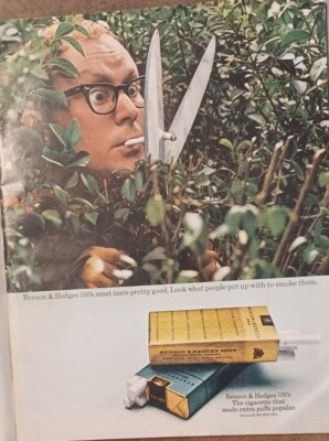 shear cigarettes 1970 Print Ad Benson & Hedges 100's Cigarettes Man Smoking garden shears  Color