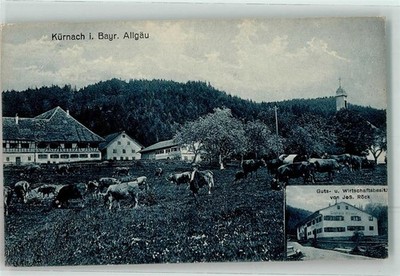 13495019 - 8702 Kuernach Rinderweide Manor House Roeck Wuerzburg LKR 1919
