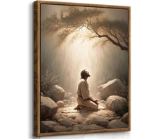 Framed Jesus Prayers Canvas Wall Art God Divine Mercy Portrait Tranquility Pa...