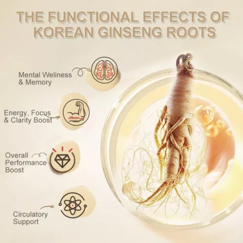 120 Kapseln Roter Koreanischer Ginseng 1600mg 6 Jahre alt Pure Red Panax Premium Qualität - Bild 3 von 11
