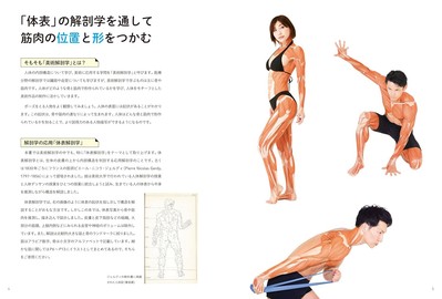 Surface Anatomy for Artists Explaining Muscle Locations Shapes by