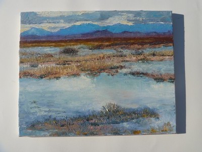 ''Dry No More'' Original Oil Painting on Canvas Landscape 16''x20'' R. Bergquist