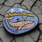 Bild 12 von 18