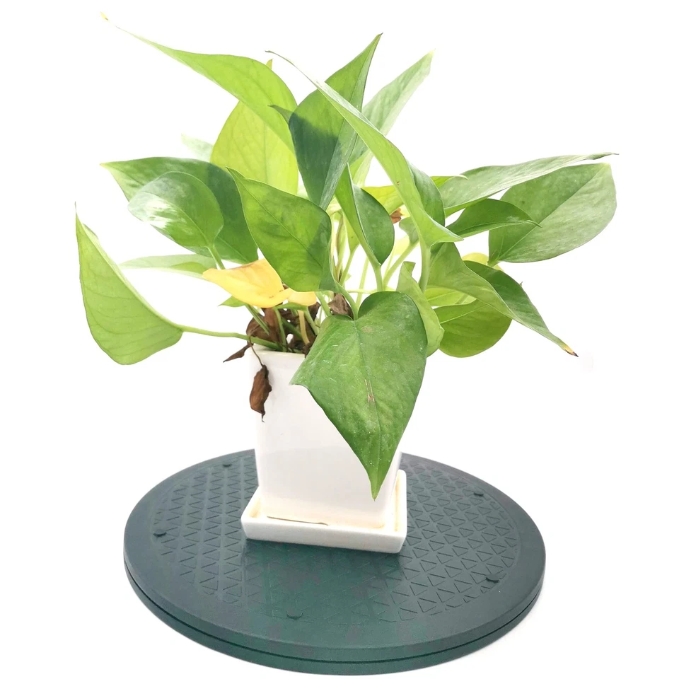 Soporte de rodamiento de bolas giratorio de alta resistencia de 12 pulgadas rotación de 360 grados Lazy Susan Foto 2 de 4