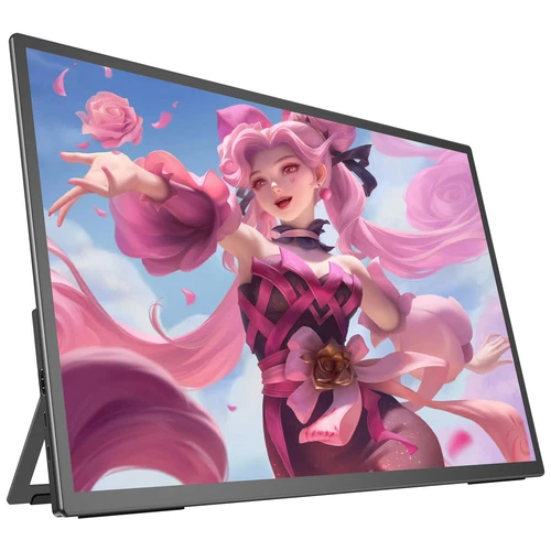 21,5 Zoll 120Hz 1920*1080 Tragbarer Monitor 120Hz Bildschirm HDMI USB C Für Game