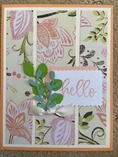 Biggest wish hello friendship thank you card kit of 10 made w/ Stampin' Up!
