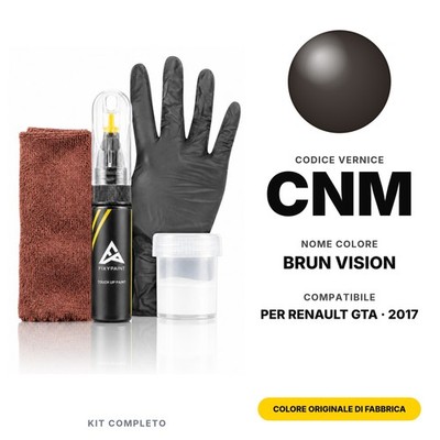 Touch Up Paint For Renault GTA CNM Brun Vision Complete Original Color Car
