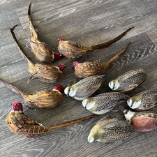 Lot of 12 Faux Feathered Quail and Pheasants ...