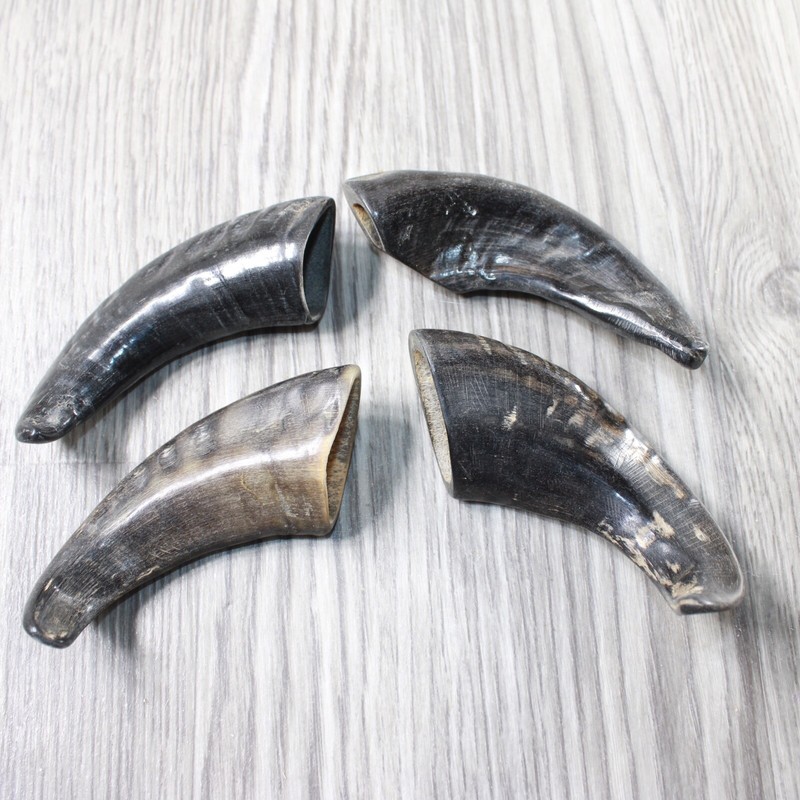 4 Small Polished Goat Horns #1356      Natural Colored
