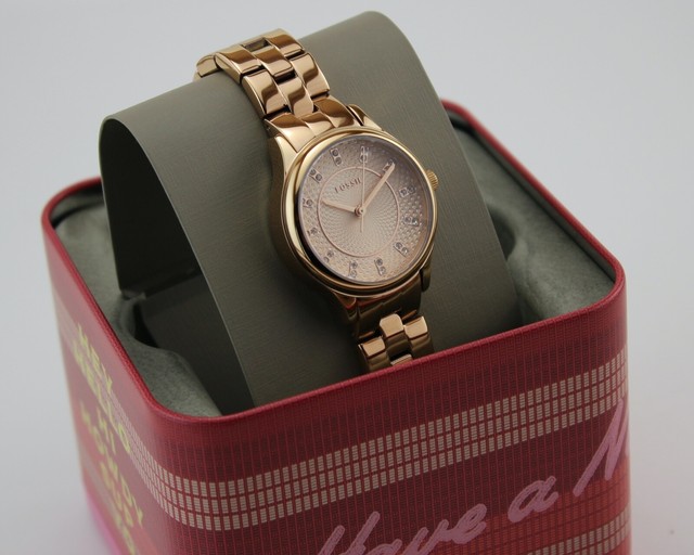 Old Stock Fossil BQ1571 Water Resistant 