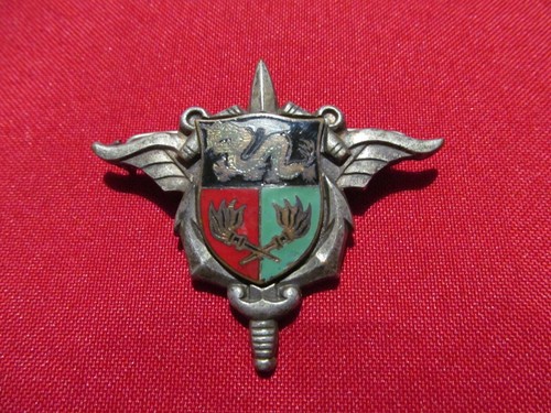 Insigne Service Des Essences En Extrême-Orient Indochine - Original - Dragon - Badge Militaire Français