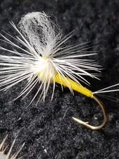DRY FLY SIZE 14 PED LOOPWING PARADUN FRONTIER FLY FISHING FLIES YELLOW 