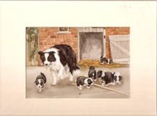 Border Collie Puppies Out to Play Matted Art Print by UK Artist Graham Chambers*
