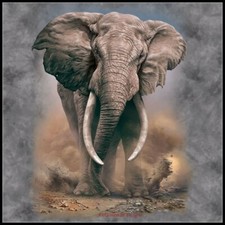 African Elephant - Chart Counted Cross Stitch Patterns Needlework DMC Color