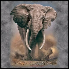 African Elephant - Chart Counted Cross Stitch Patterns Needlework DMC Color   