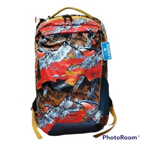 eagle creek wayfinder 30l