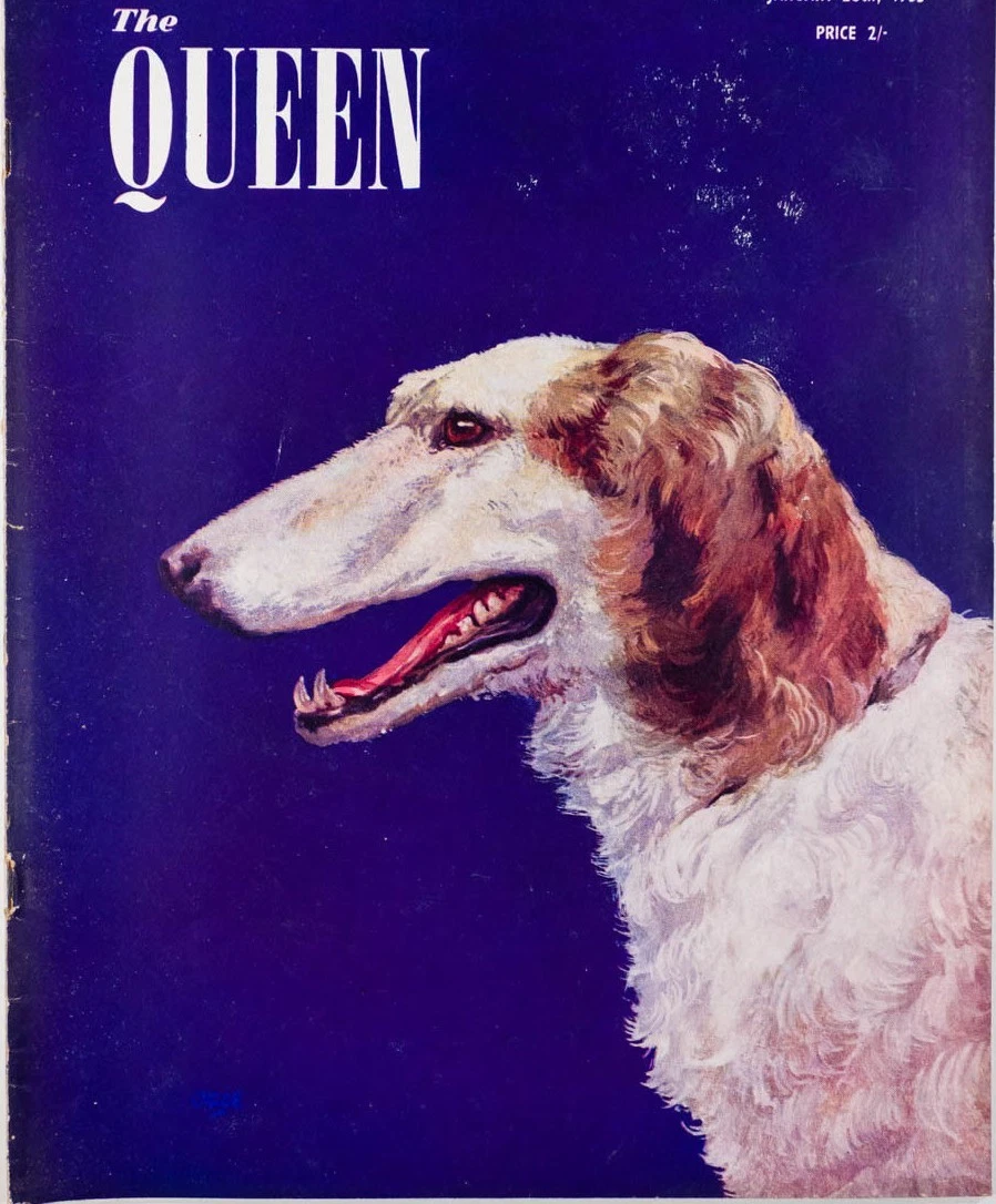 Richard Ogle CHRISTIAN DIOR Spa KENYA Irish Wolfhound Dog CHAPEAU Queen magazine années 50
