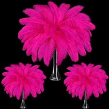 90 Pcs Large Natural Ostrich Feathers Bulk 14 16 Inch 35 40cm 12 14 Inch 30