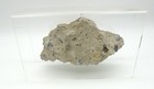 Bild 9 von 10