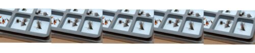 Ultra Slim Magnetic Flies, Hooks & Beads Boxes - 3 sizes - 6,12 & 18 - Picture 2 of 2