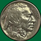1934-D Buffalo Nickel Extremely Fine XF Coin #39844