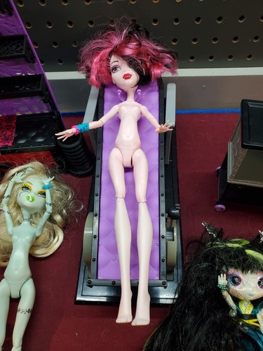 Monster High Doll Collection 3 Dolls and Accessories Lot of 15 pcs - Picture 3 of 8