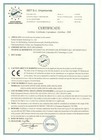 Foto 11 di 11