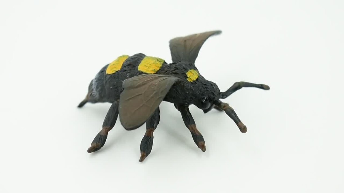 bumble-bee-bee 100BumbleBeePuzzleCatalogImage