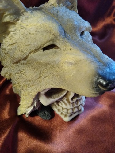 Indian Koitsenko Warrior Chief Lone Wolf Skull Statue Gothic Figurine Halloween - Picture 6 of 14