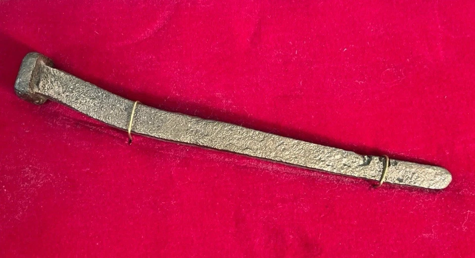 Artefacto de naufragio de barco galeón español flota 1715 espiga como Mel Fisher Atocha Foto 2 de 4