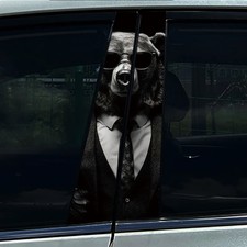 2pcs Animal Cat Mr Bear Hippo Car Door B Pillar Center Pillar Stickers