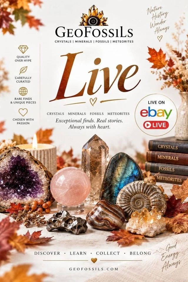 Wednesday Night Live | Crystals, Minerals, Fossils & Meteorites
