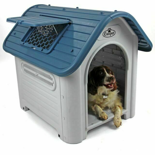 medium plastic dog crate