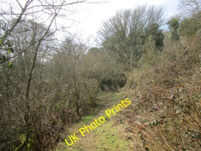 Photo 6x4 Path between the brambles Donington on Bain Dropping down towar c2015