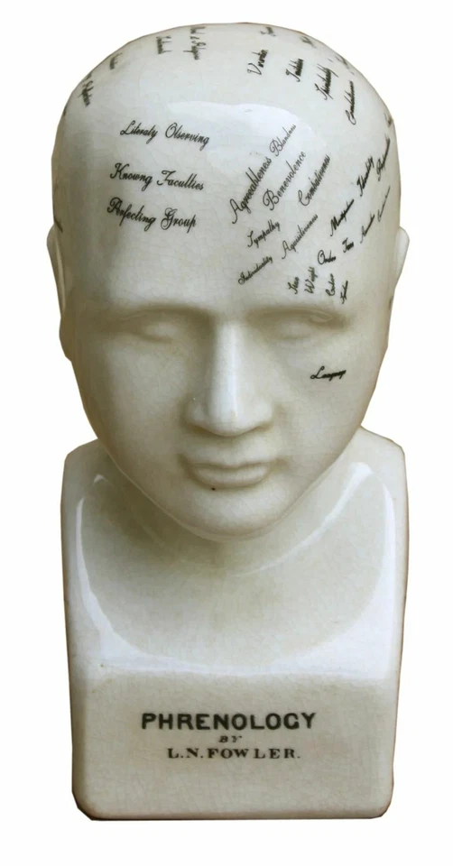 Phrenology Head Bust Scuplpture Ornament Ceramic Home Decor White Small 19cm - Image 2 of 4