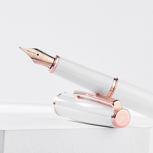 Vintage Push Type HongDian 920 Fountain Pen EF/F 0.4mm/0.5mm Nib Writing Gift j - Picture 9 of 16